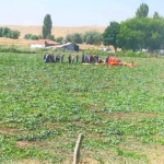 ankara-temellide-bir-hava-aracinin-dustugu-iddia-edildi-bolgeye-cok-sayida-yardim-ekibinin-sevk-VqrhZyIM.jpg