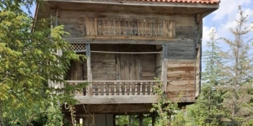ankarada-200-yillik-serender-kul-oldu-aTqIm6BF.jpg