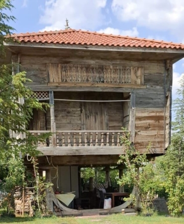 ankarada-200-yillik-serender-kul-oldu-aTqIm6BF.jpg