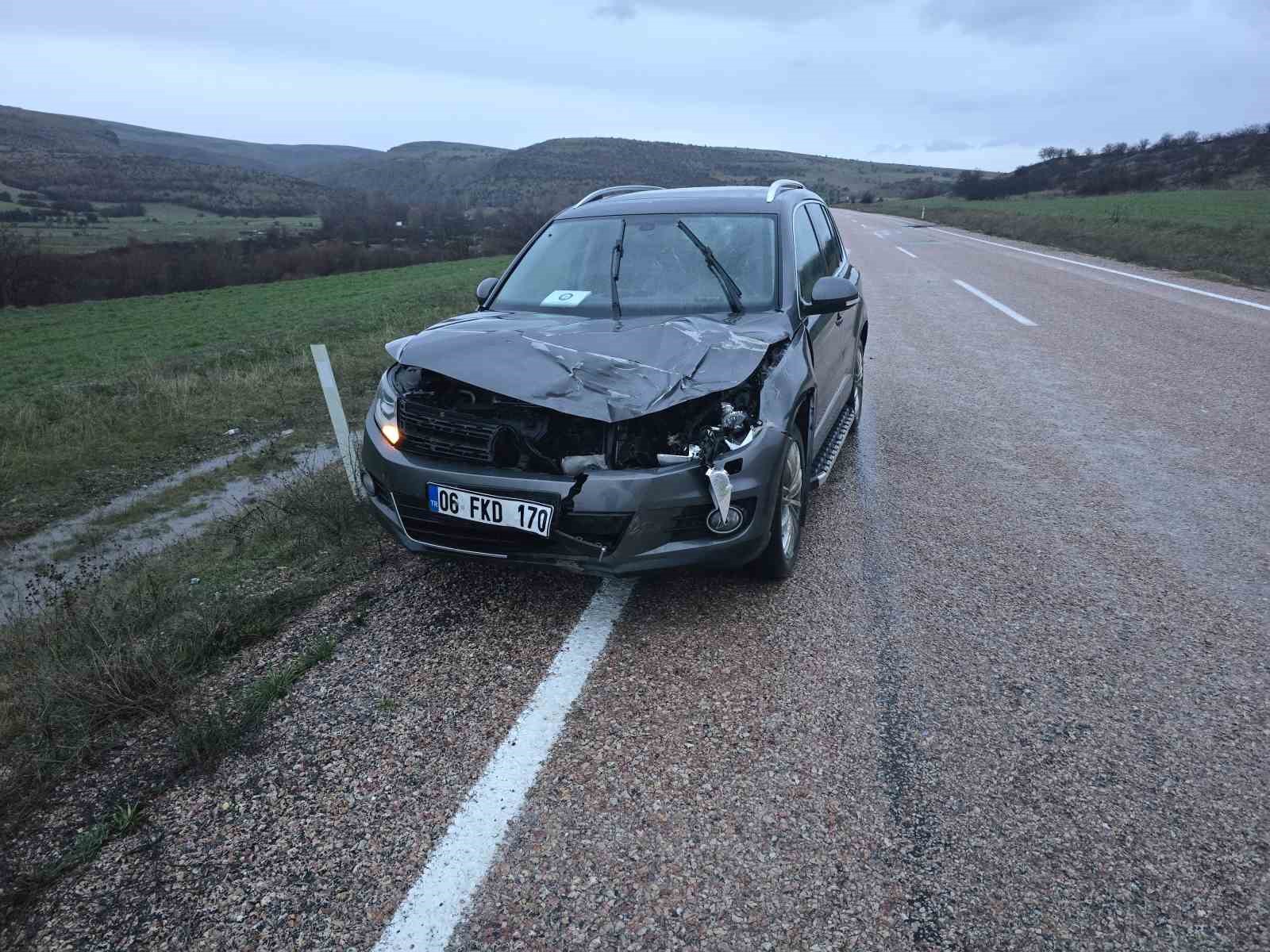 Ankara’da aracın çarptığı geyik telef oldu 4 ankarada aracin carptigi geyik telef oldu 0 2eDJNZUn