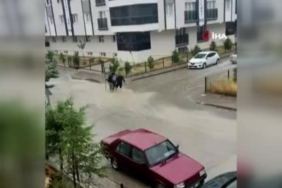 Başkentte sağanak hayatı felç etti: Yol çöktü, araç çukura düştü, iş yerlerini su bastı 2 thumbnail