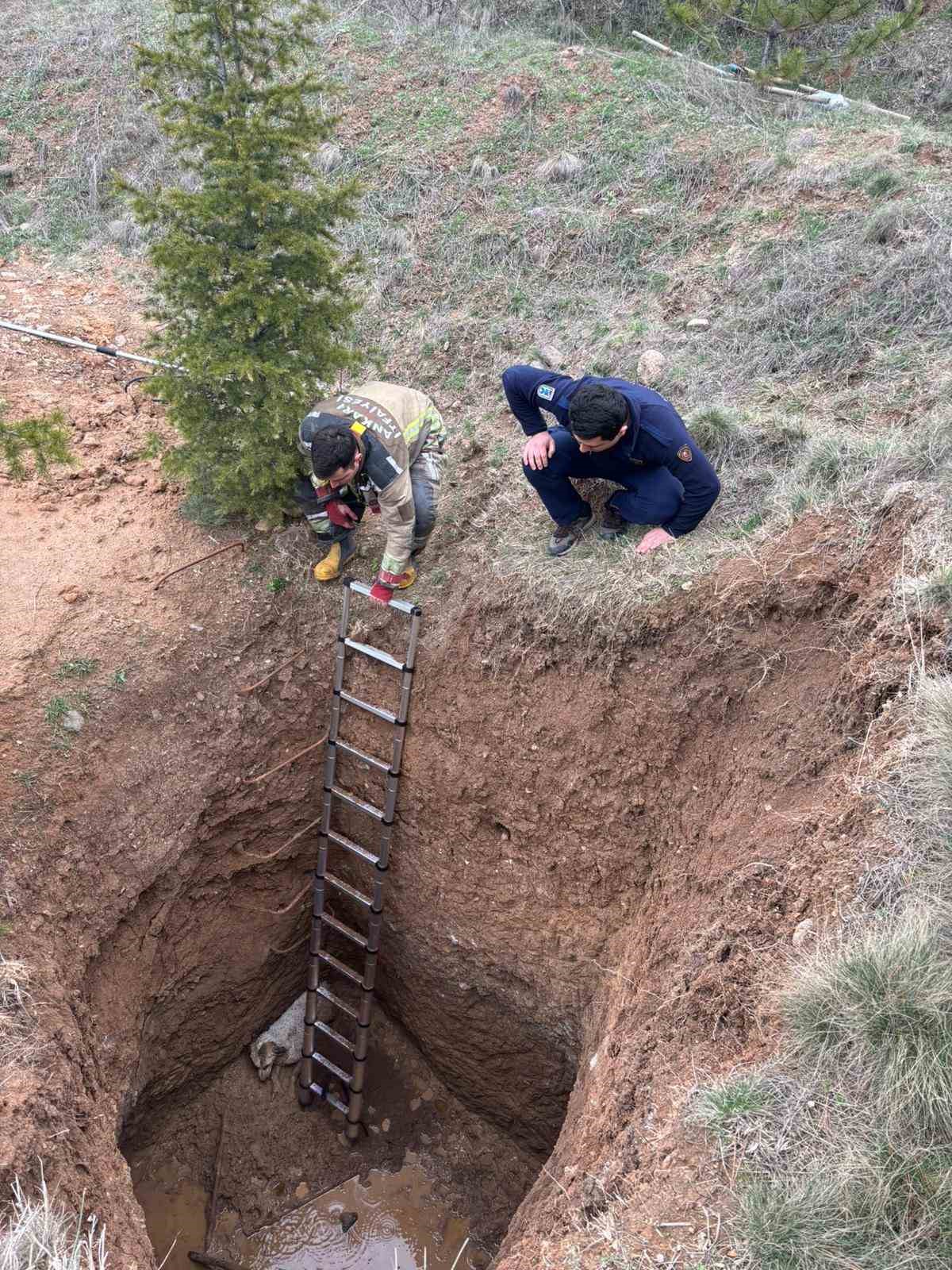 ankarada kacak kazinin yapildigi cukura dusen kopek kurtarildi 1 hEJUKvqS
