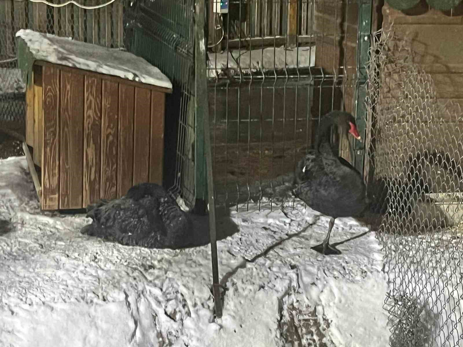 ankarada kar yagisinin ardindan hava sicakligi eksi 11 dereceye kadar dustu 1 Z3zKUwqf