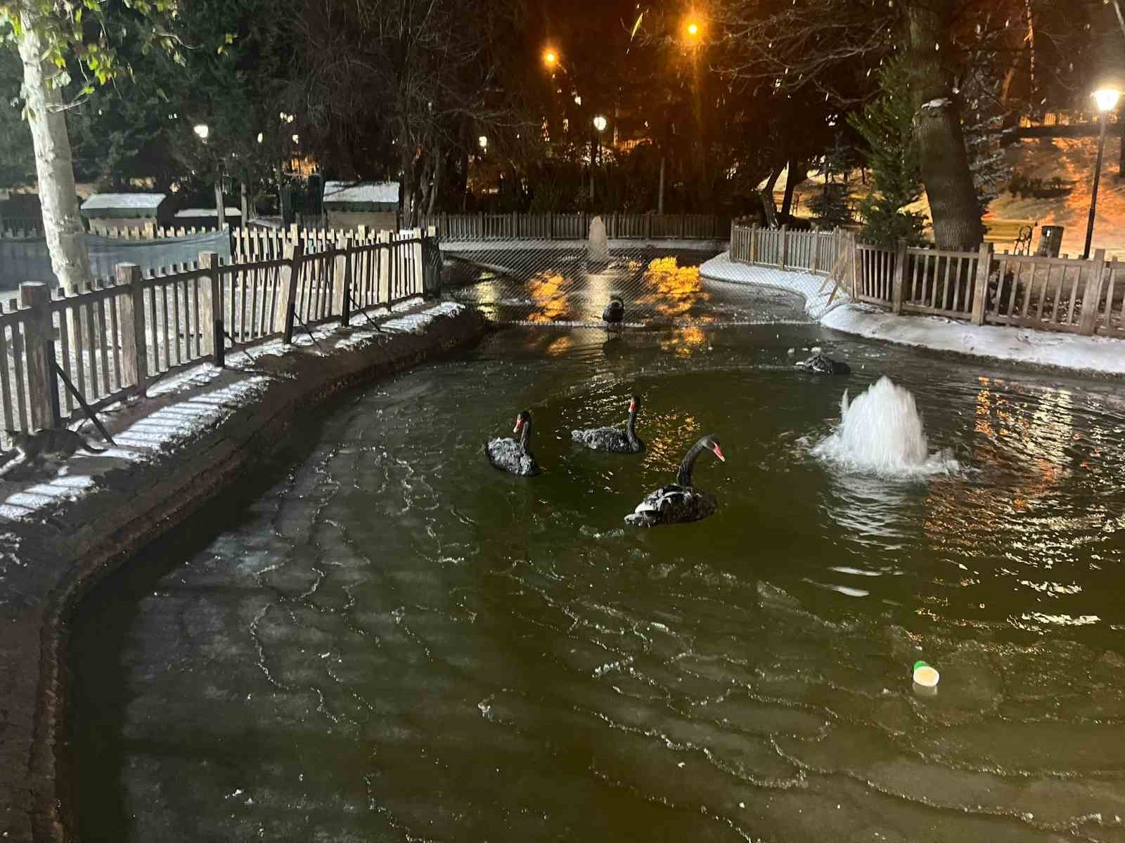 ankarada kar yagisinin ardindan hava sicakligi eksi 11 dereceye kadar dustu 2 qZ8cYk53