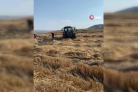 Çatıya çıkan şahıs, polisin bir saatlik ikna çalışmasıyla indirildi 3 thumbnail