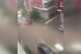 Çanakkale’de tıra çarpan otomobilin sürücüsü hayatını kaybetti 1 thumbnail