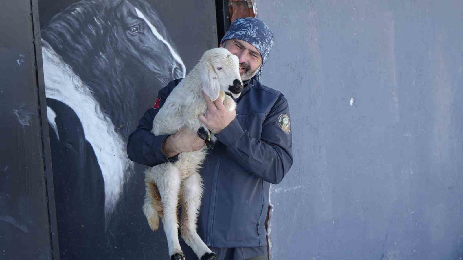 ankarada sira disi yasam onlarca hayvanla ortak hayat kurdu 13 6y9uqebf