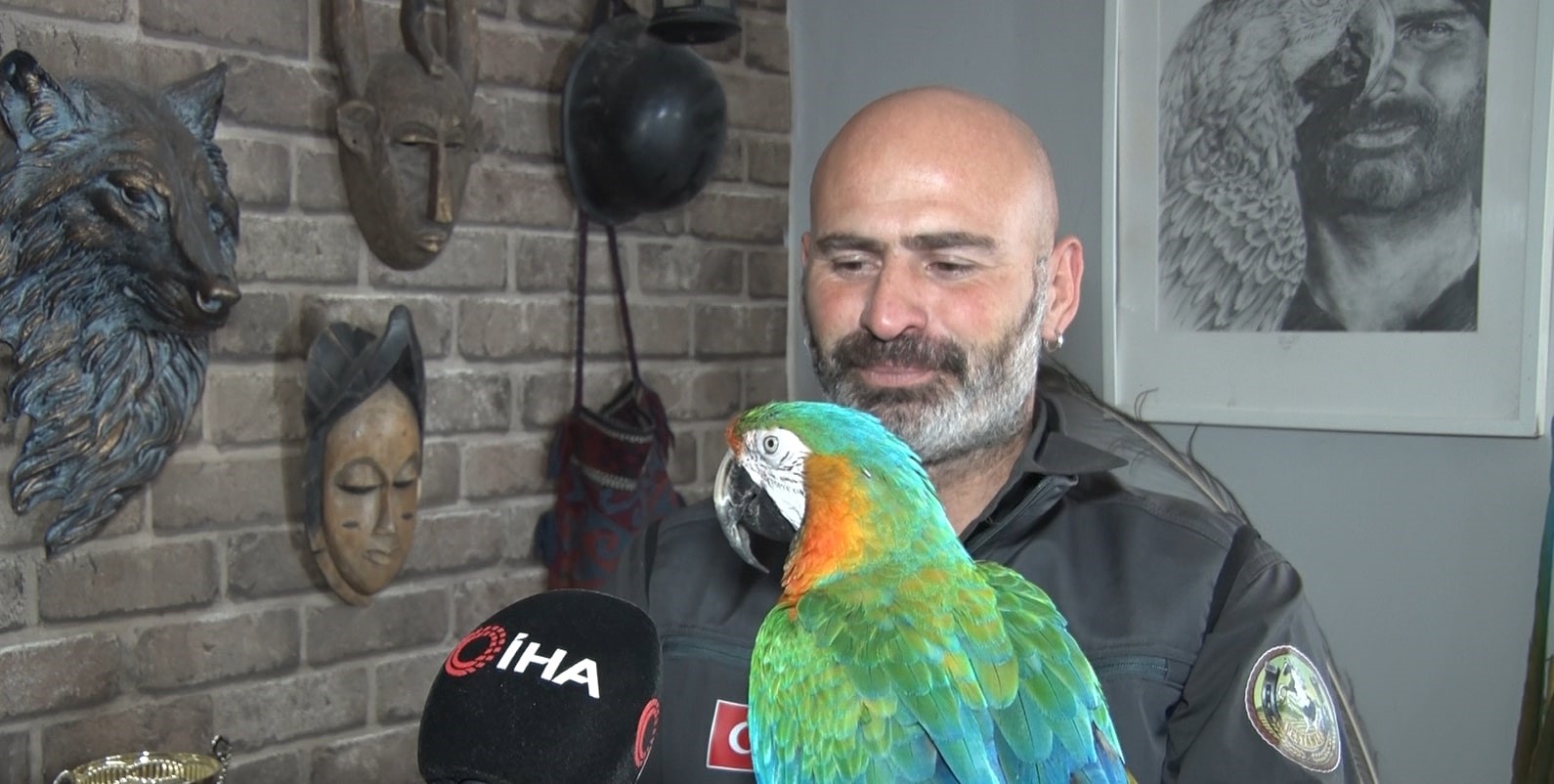 ankarada sira disi yasam onlarca hayvanla ortak hayat kurdu 14 Zyv2UKRR