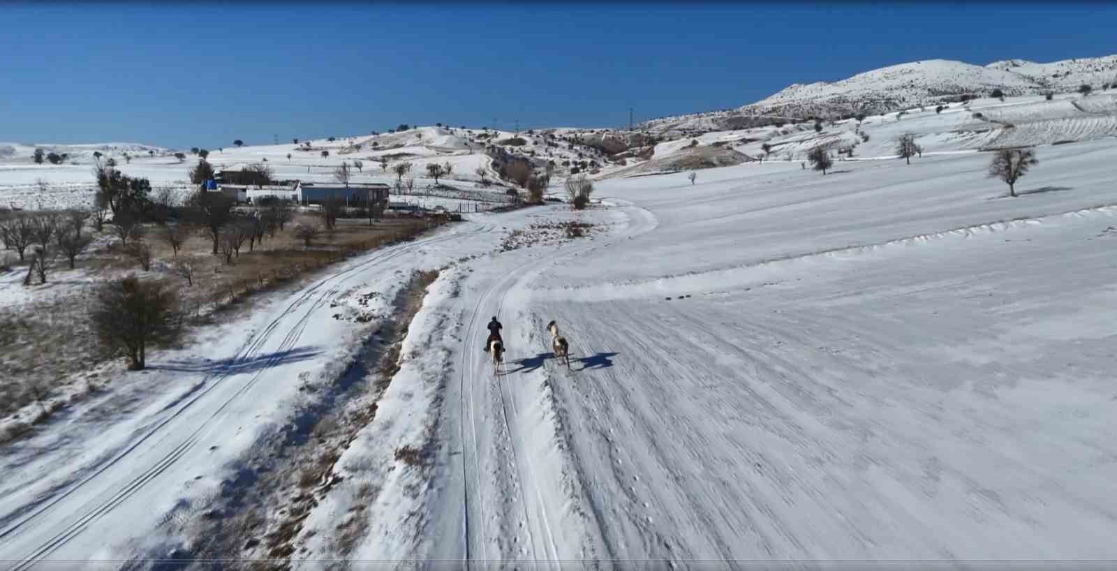ankarada sira disi yasam onlarca hayvanla ortak hayat kurdu 15