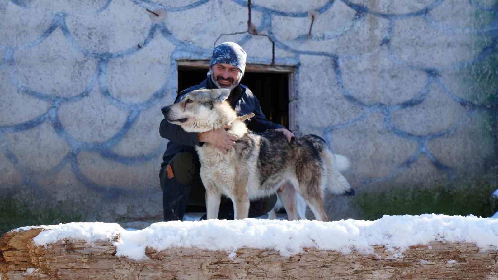 ankarada sira disi yasam onlarca hayvanla ortak hayat kurdu 4 LC1UHSOL