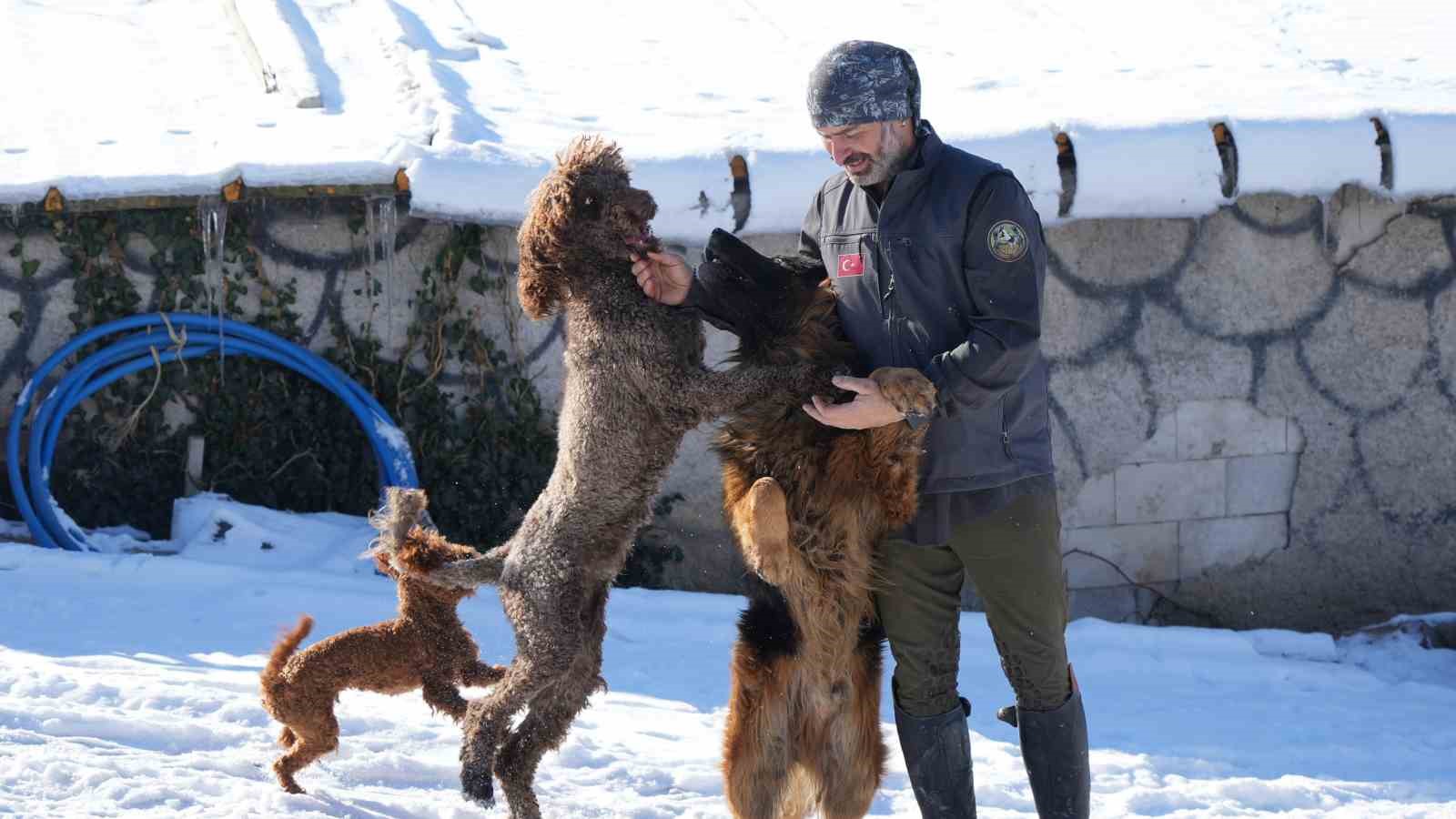 ankarada sira disi yasam onlarca hayvanla ortak hayat kurdu 5 ln8K6Ov8