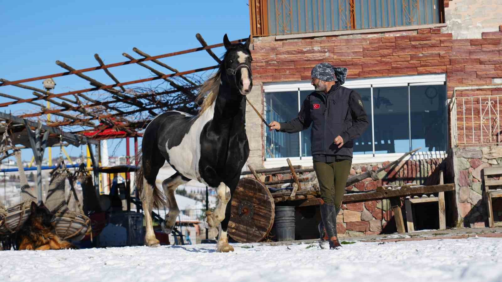 ankarada sira disi yasam onlarca hayvanla ortak hayat kurdu 6 vTJbPGj2