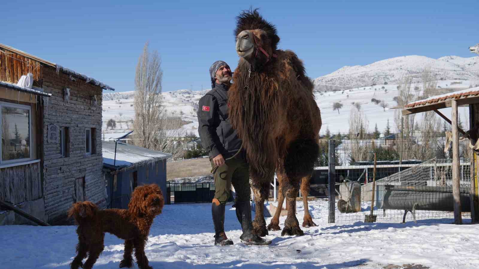 ankarada sira disi yasam onlarca hayvanla ortak hayat kurdu 8 jfycXj8I