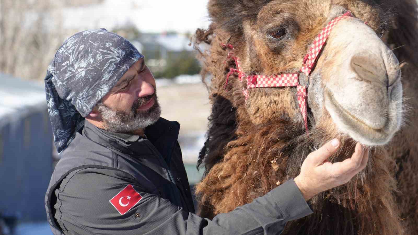 ankarada sira disi yasam onlarca hayvanla ortak hayat kurdu 9 ZNNA68au