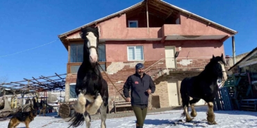 ankarada-sira-disi-yasam-onlarca-hayvanla-ortak-hayat-kurdu-R8W8tkPw.jpg