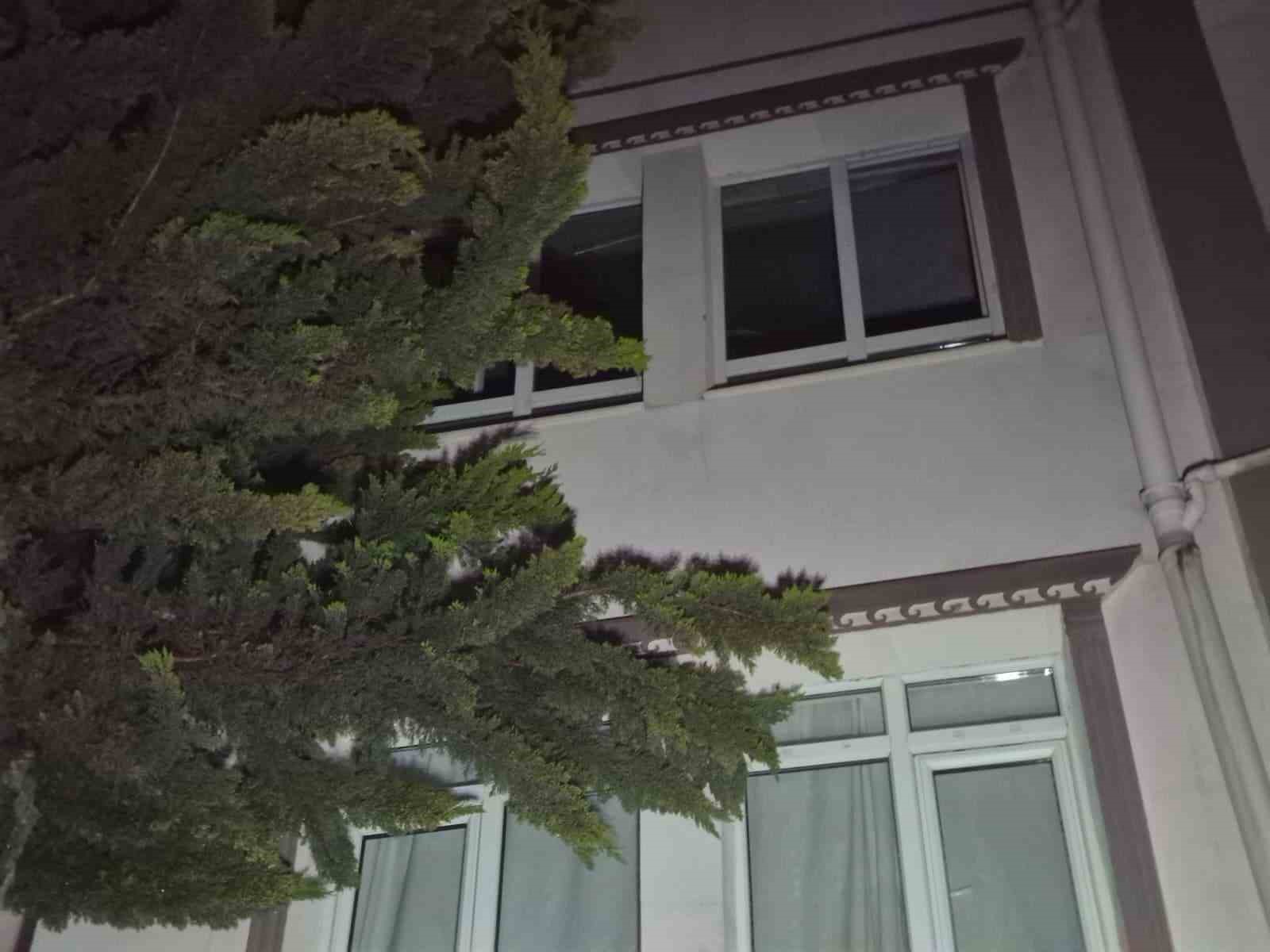 ankarada sondurulemeyen agac bir daireyi kullanilamaz hale getirdi 0 ZcnDLzvP