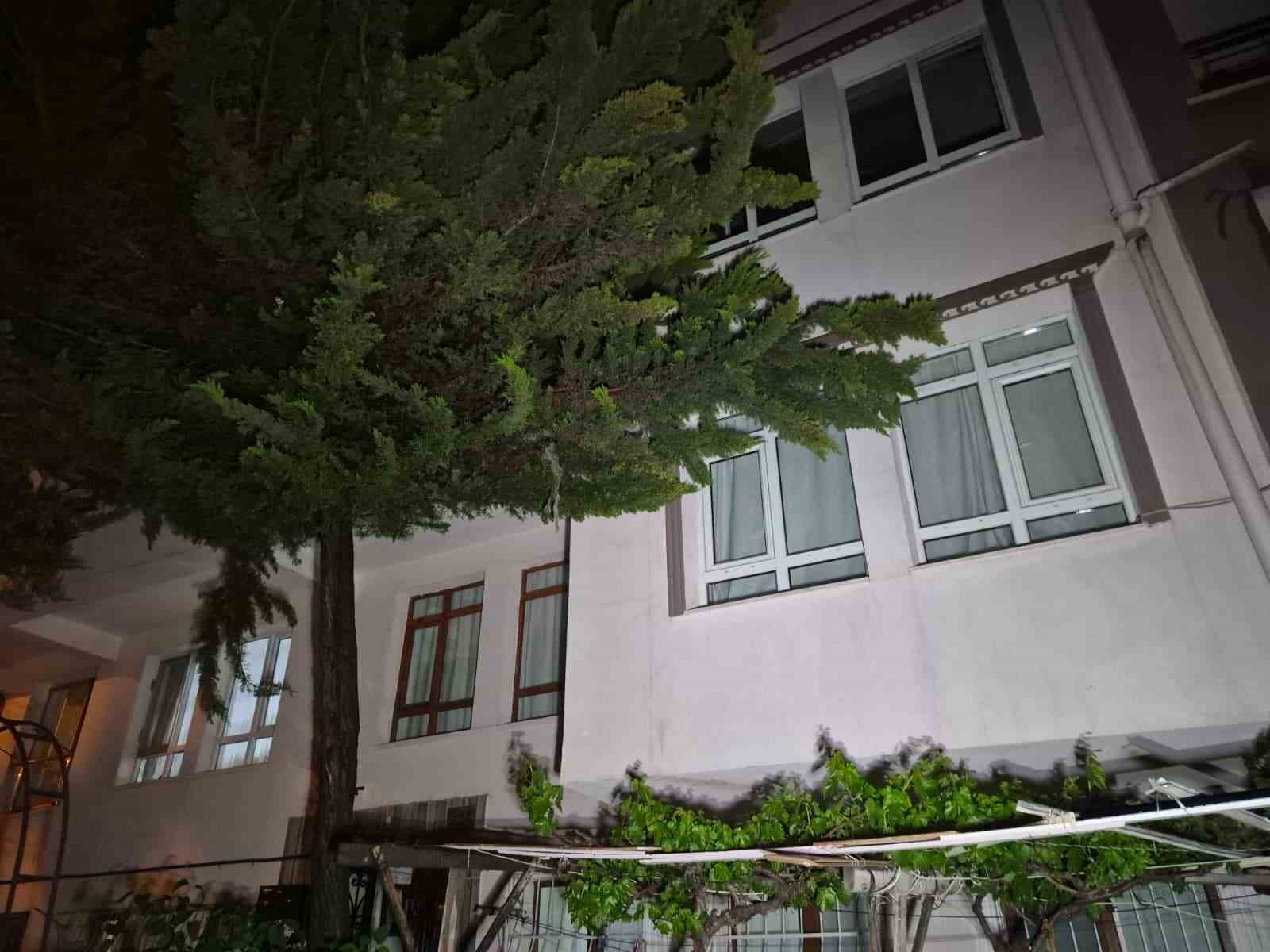 ankarada sondurulemeyen agac bir daireyi kullanilamaz hale getirdi 1 yeuEF64Y