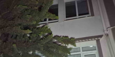 ankarada-sondurulemeyen-agac-bir-daireyi-kullanilamaz-hale-getirdi-qcP8kksb.jpg