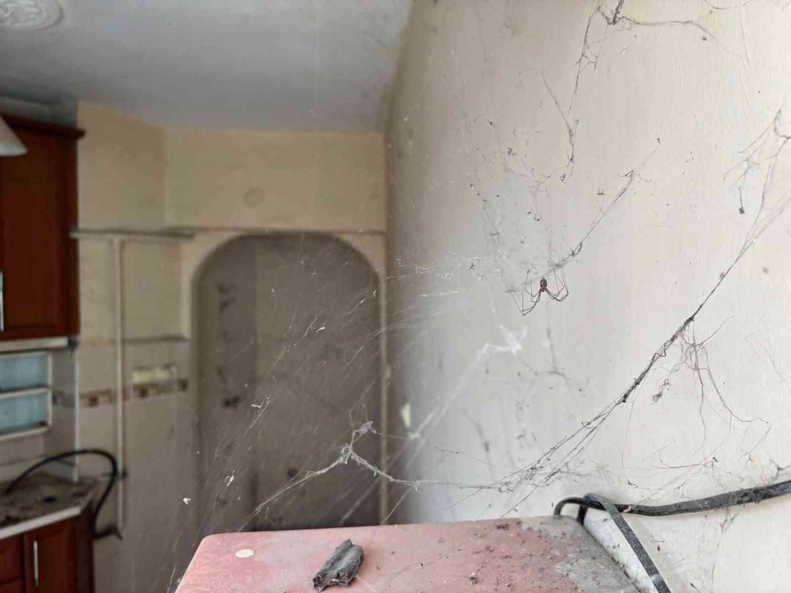 Ankara’da yaşlı çifte ait evden kamyon dolusu çöp çıkartıldı 7 ankarada yasli cifte ait evden kamyon dolusu cop cikartildi 3 rFBewuP6