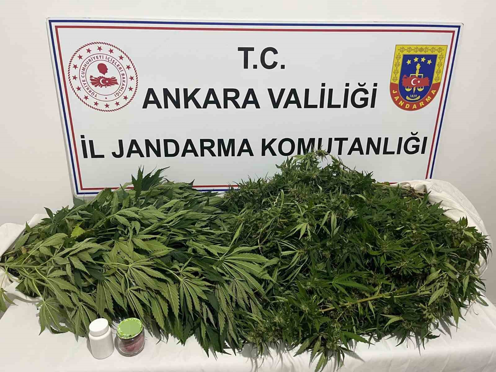 Ankara’daki narkotik operasyonunda 150 kök kenevir ele geçirildi 4 ankaradaki narkotik operasyonunda 150 kok kenevir ele gecirildi 0 ViOFLI3G
