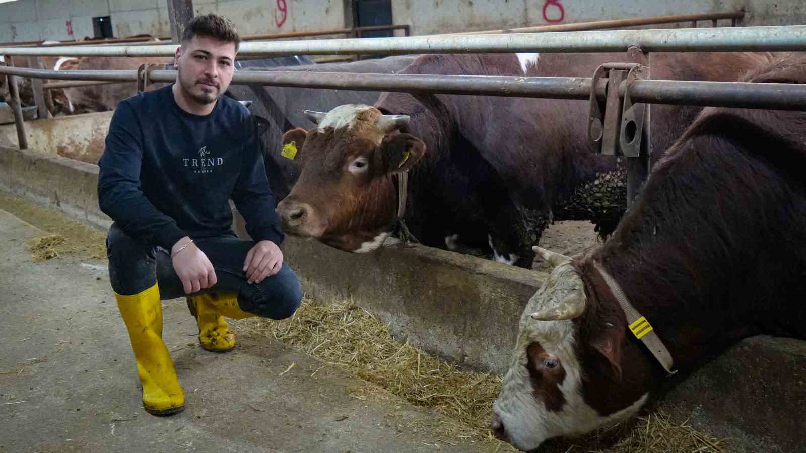 Ankaralı besici kurbanlık hayvanlarına saz çalıp, türkü söylüyor 7 ankarali besici kurbanlik hayvanlarina saz calip turku soyluyor 3 1Wvc27Md