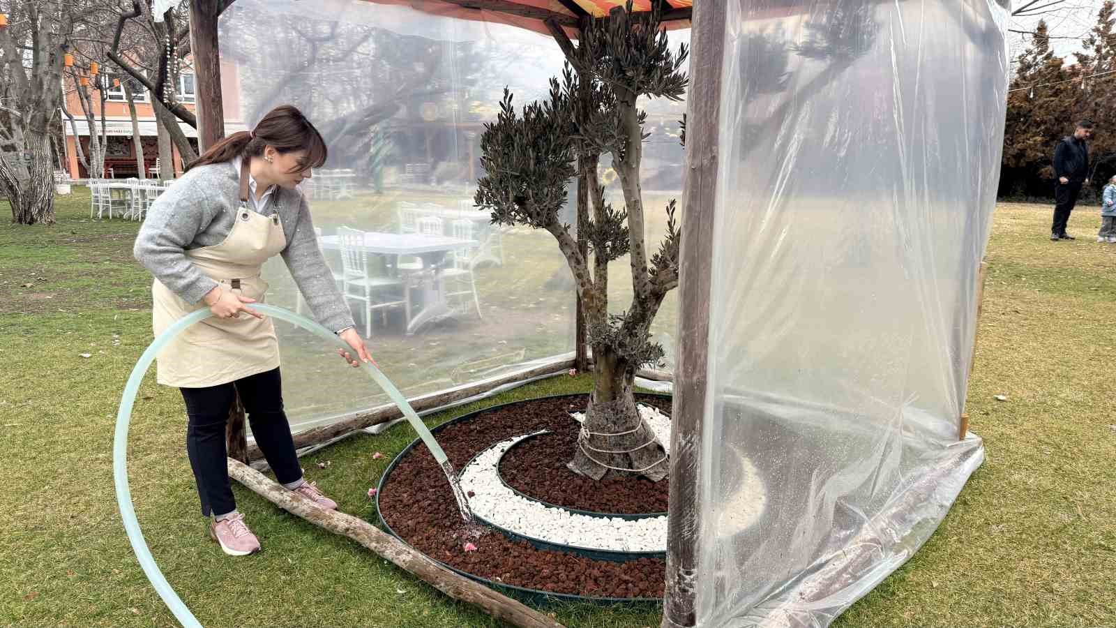 ankarali iki kardes azmetti hayallerini kir bahcesine donusturdu 6 mnL62dcy