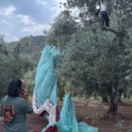 anlik-hava-degisimi-yamac-parasutculerine-yaramadi-LSYylbei.jpg