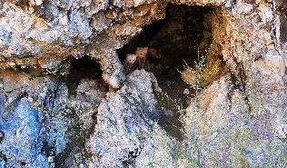 anne-ayi-ve-yavrulari-inlerinde-dron-kamerasiyla-goruntulendi-rn6SiLMv.jpg