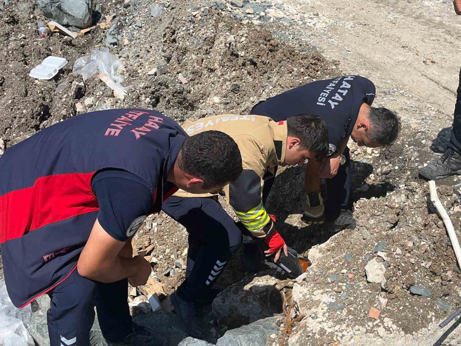anne kedi yavrulari kurtarilana kadar ekiplerin basinda bekledi 1