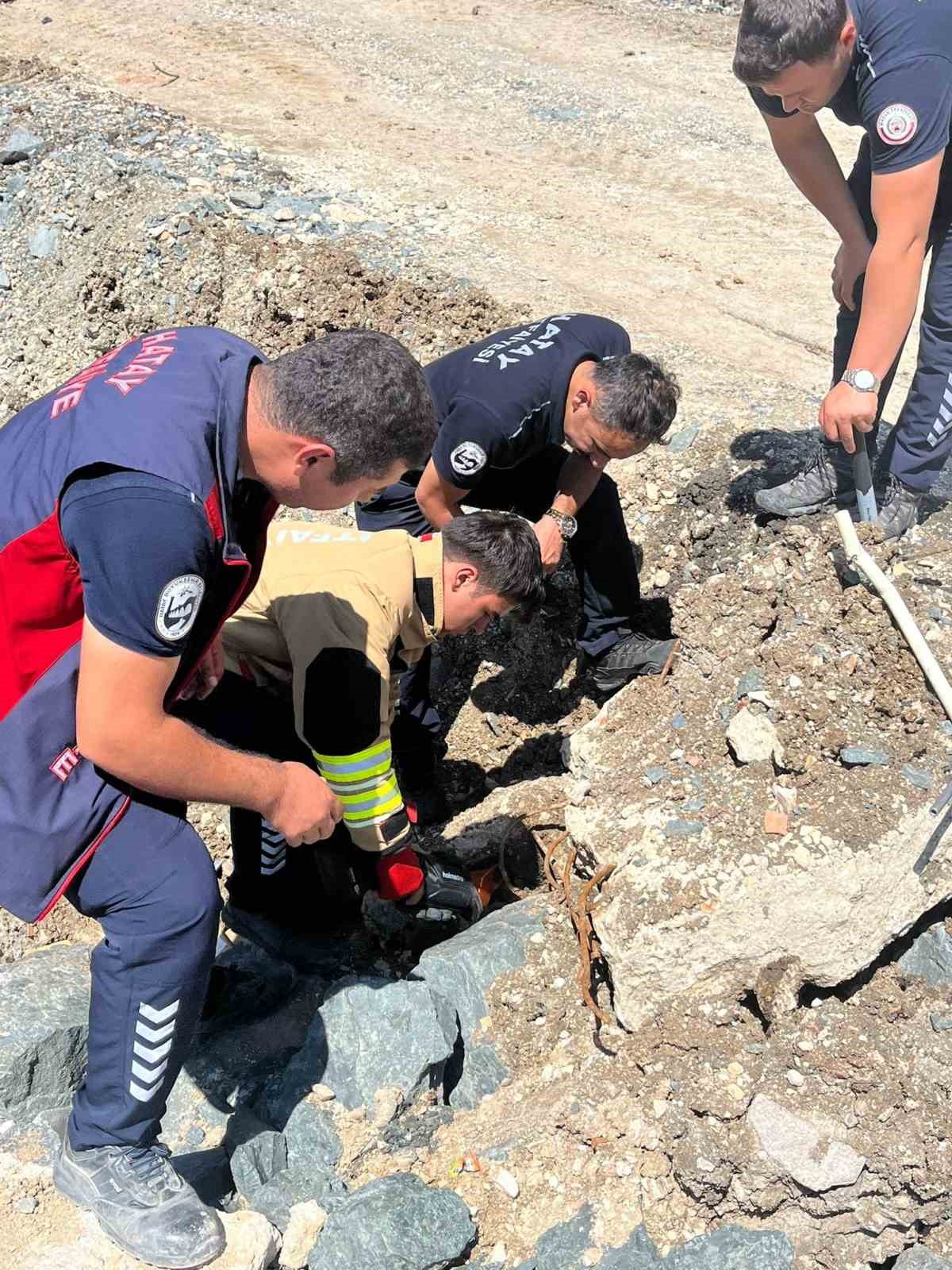 anne kedi yavrulari kurtarilana kadar ekiplerin basinda bekledi 3 7XsyU36y