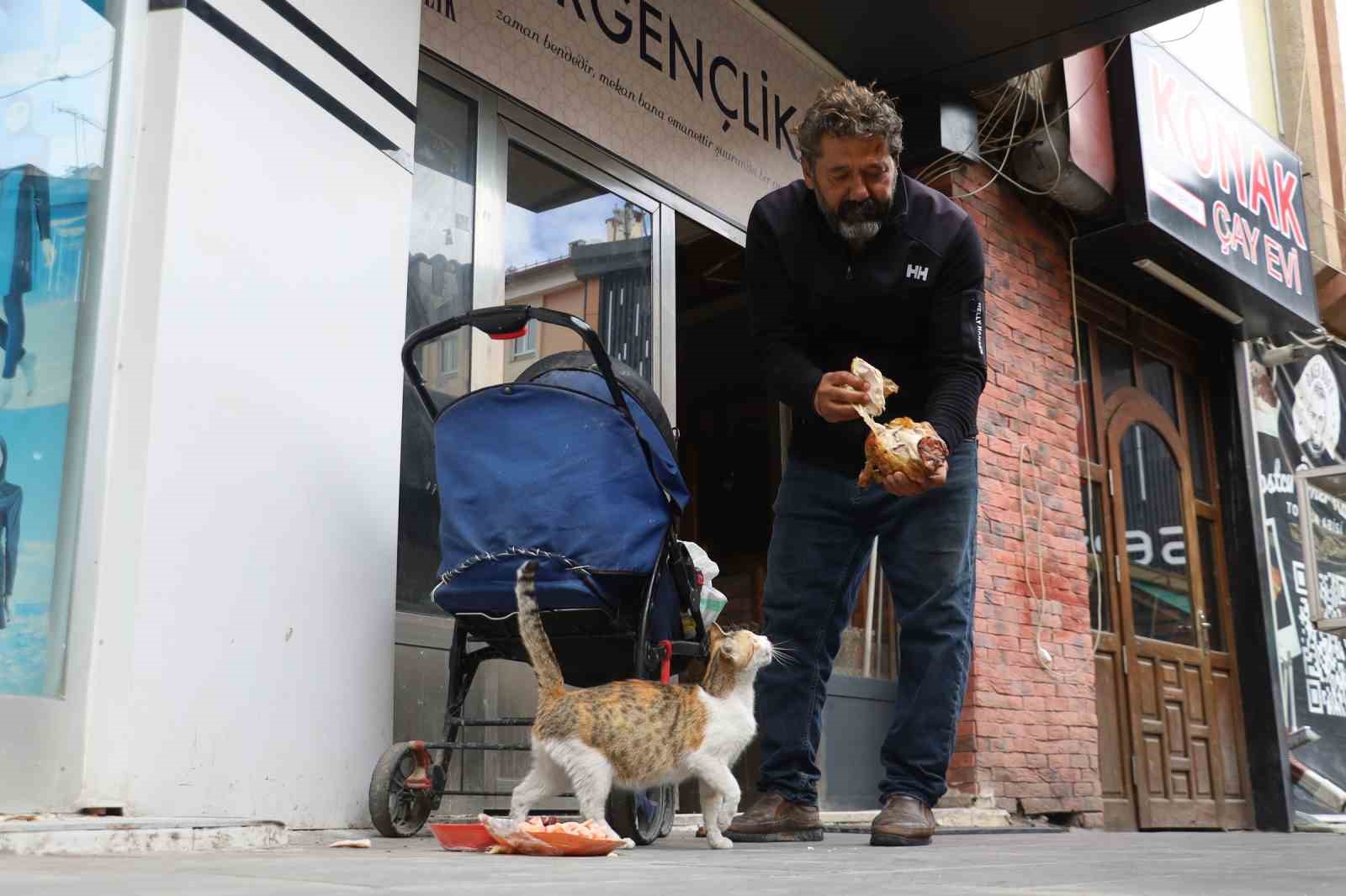 Anne kedinin ölen yavrusunun yaşaması için verdiği çaba duygulandırdı 4 anne kedinin olen yavrusunun yasamasi icin verdigi caba duygulandirdi 0 D5RnVbaw