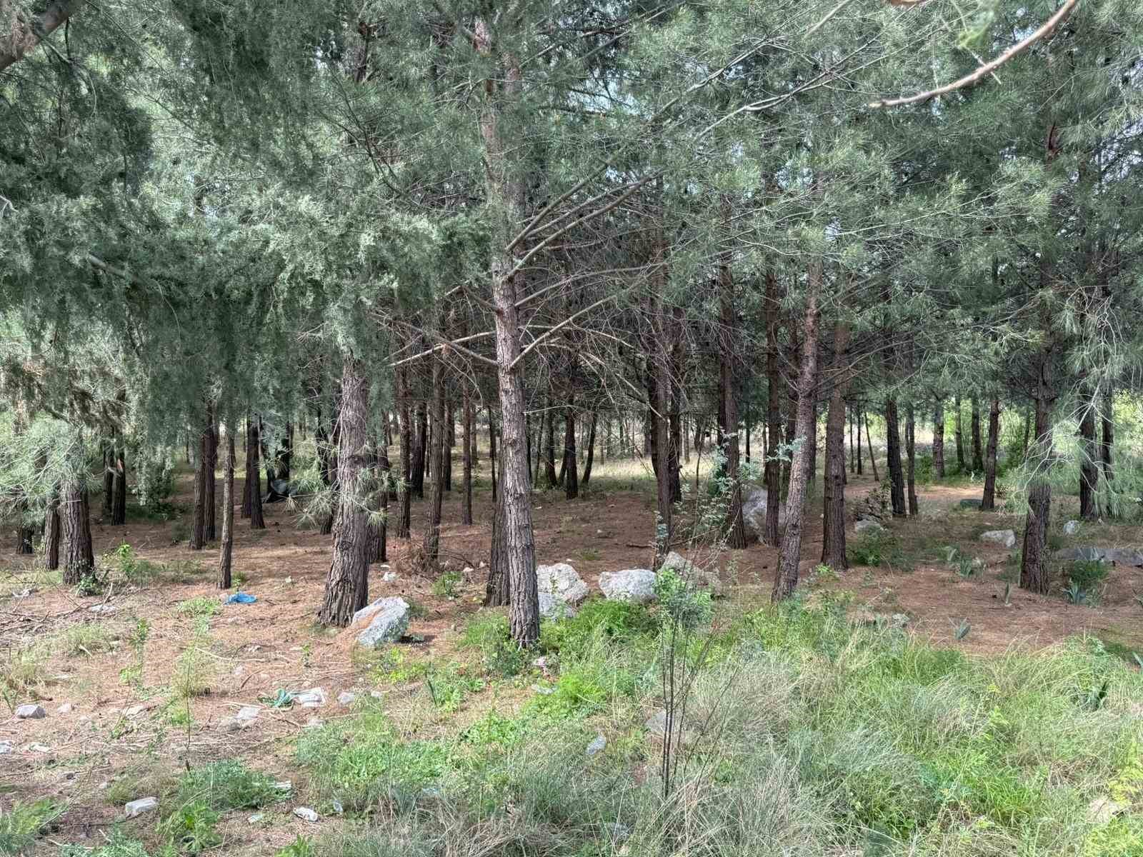 Anne ve oğlunu öldüren katil akrabaların çaldıkları altınları kuyumcuya sattıkları ortaya çıktı 4 anne ve oglunu olduren katil akrabalarin caldiklari altinlari kuyumcuya sattiklari ortaya cikti 0 FuB3S79K