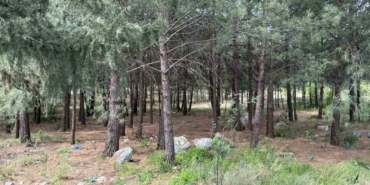 anne-ve-oglunu-olduren-katil-akrabalarin-caldiklari-altinlari-kuyumcuya-sattiklari-ortaya-cikti-WlqZTgLc.jpg
