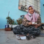 anneleri-telef-olan-yavru-kedileri-merhametiyle-buyuten-kadin-hayvanlari-biberonla-besliyor-iHCprFKF.jpg
