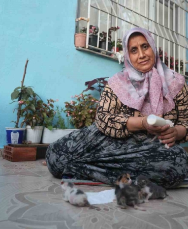 anneleri-telef-olan-yavru-kedileri-merhametiyle-buyuten-kadin-hayvanlari-biberonla-besliyor-iHCprFKF.jpg