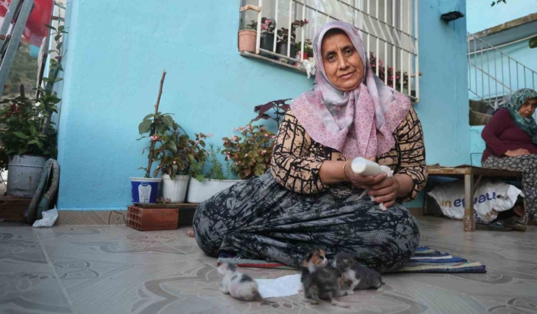 anneleri-telef-olan-yavru-kedileri-merhametiyle-buyuten-kadin-hayvanlari-biberonla-besliyor-iHCprFKF.jpg