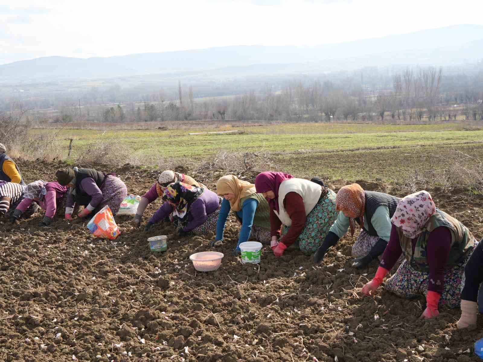 Annenin fedakarlık dolu yolculuğu: Çocukları için megakenti bırakıp toprağa sarıldı 7 annenin fedakarlik dolu yolculugu cocuklari icin megakenti birakip topraga sarildi 3 CYS1iDrY