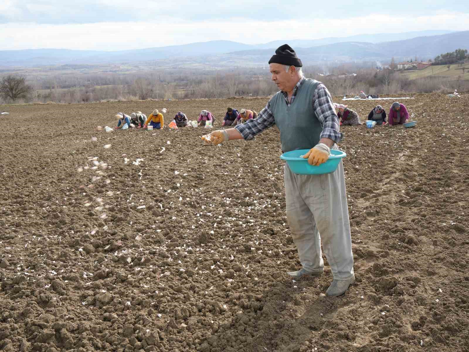 Annenin fedakarlık dolu yolculuğu: Çocukları için megakenti bırakıp toprağa sarıldı 8 annenin fedakarlik dolu yolculugu cocuklari icin megakenti birakip topraga sarildi 4