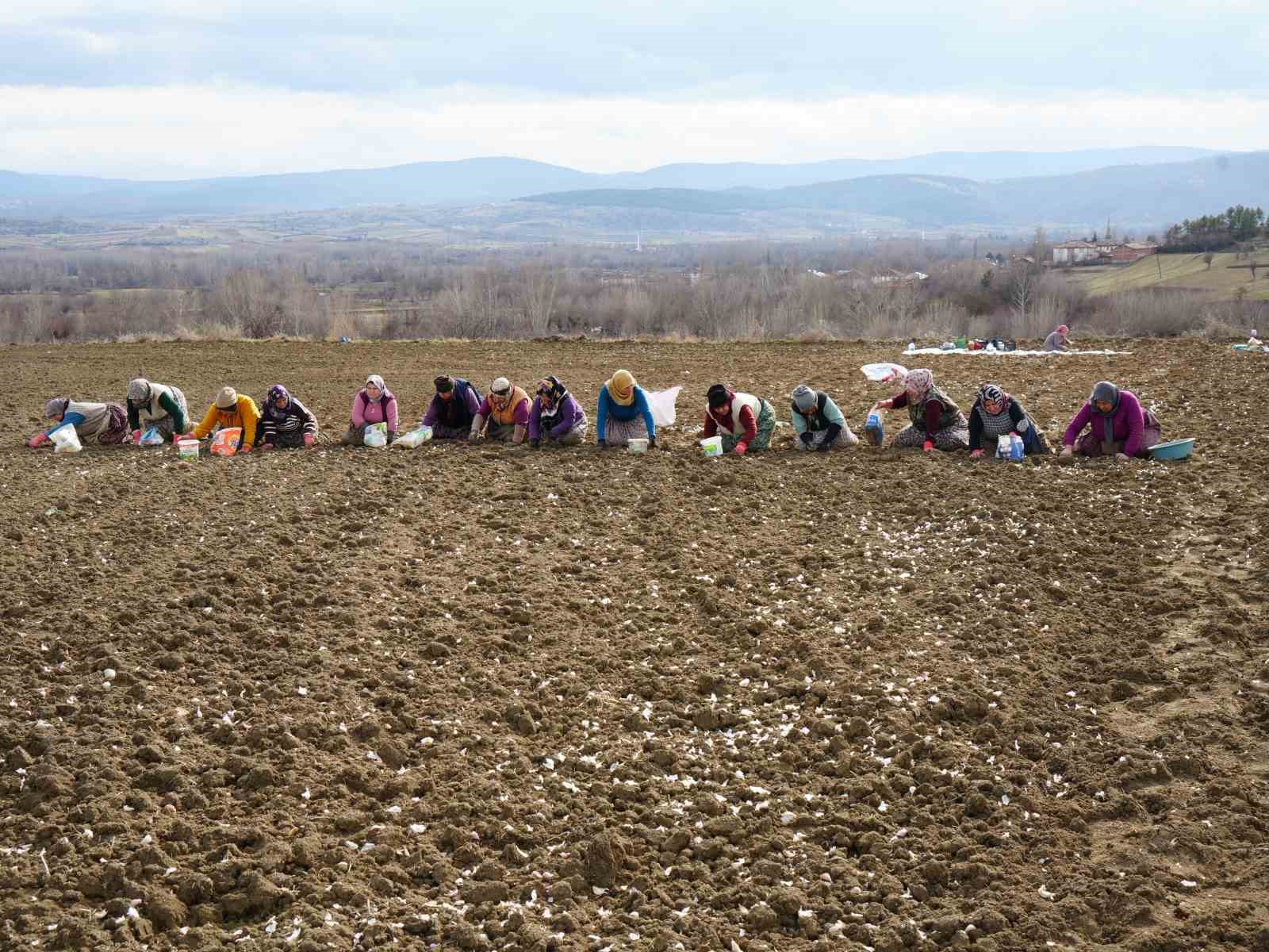 Annenin fedakarlık dolu yolculuğu: Çocukları için megakenti bırakıp toprağa sarıldı 9 annenin fedakarlik dolu yolculugu cocuklari icin megakenti birakip topraga sarildi 5 I1MVX8va