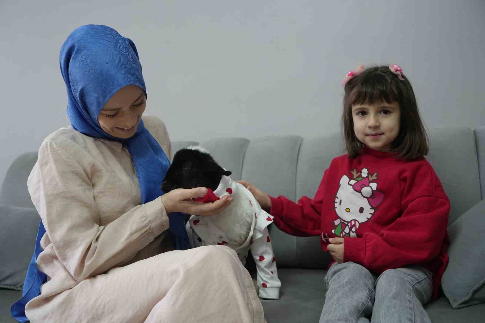 annesi olen kuzuya evinde bebek gibi bakiyor 2 iuqKGY5u