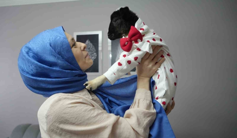 annesi-olen-kuzuya-evinde-bebek-gibi-bakiyor-g5QxhBr7.jpg