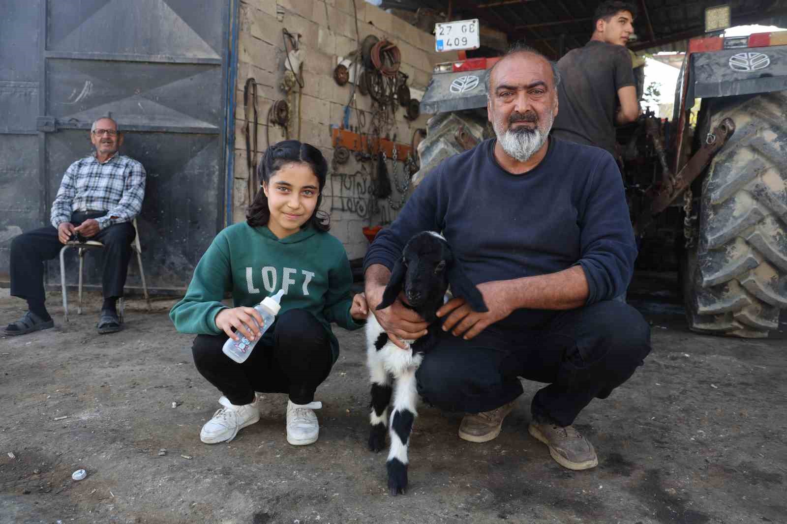 annesi telef olan kuzuya sefkatle yaklasan aile karabasi biberonla besliyor 0 Kj3SvUnN