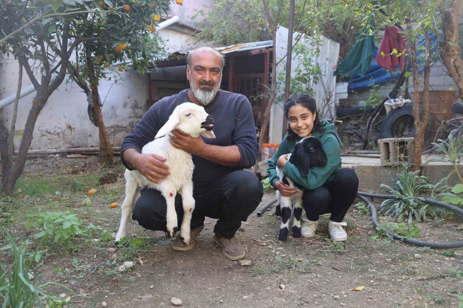 annesi telef olan kuzuya sefkatle yaklasan aile karabasi biberonla besliyor 5