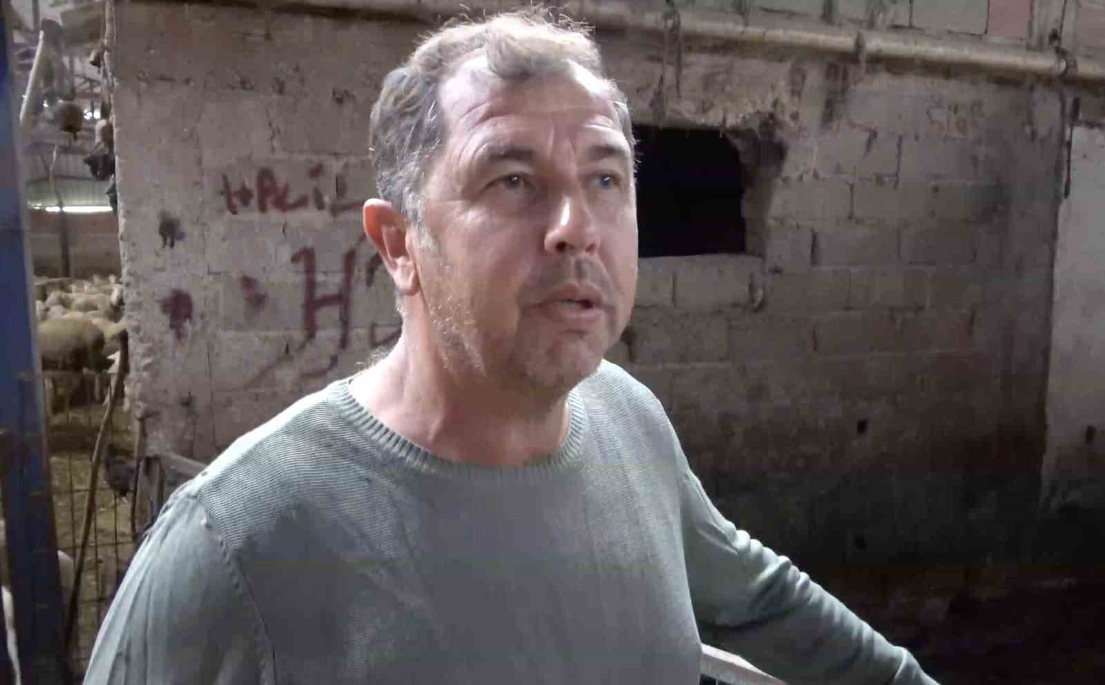 annesi ve kardesleri olen kuzunun yurek burkan hikayesi 1 vqApuq12