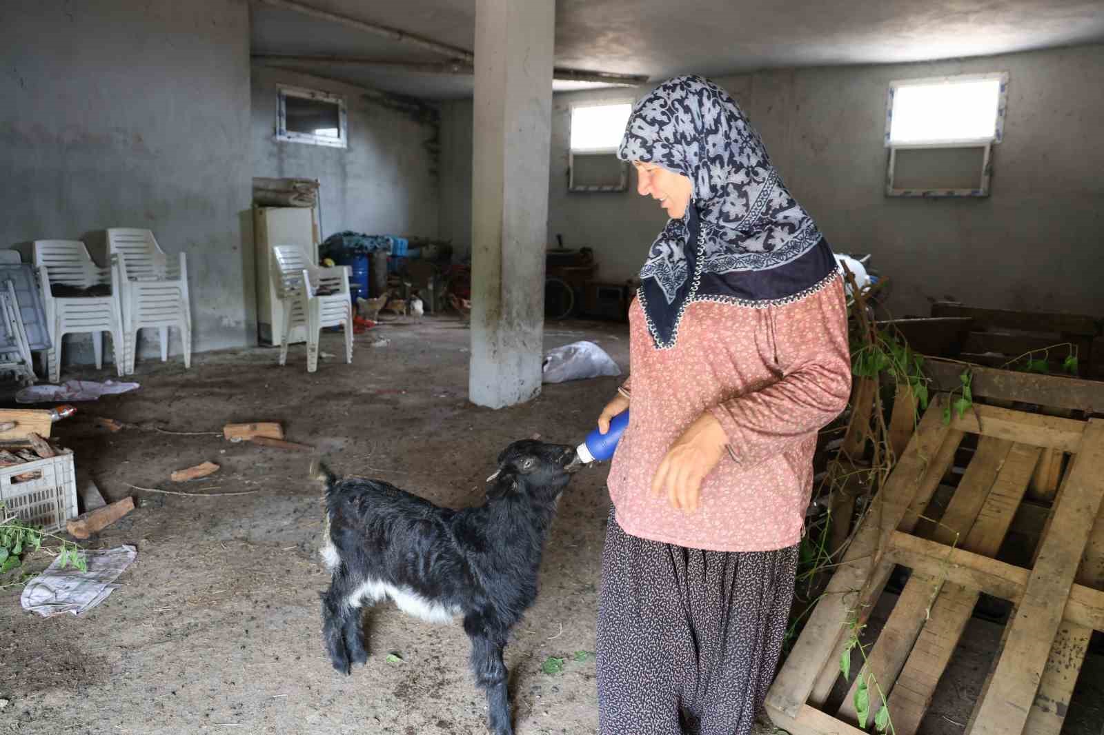 annesinin reddettigi oglak anne sevgisini hayriye teyzenin yaninda buldu 1 B6WvXqeO