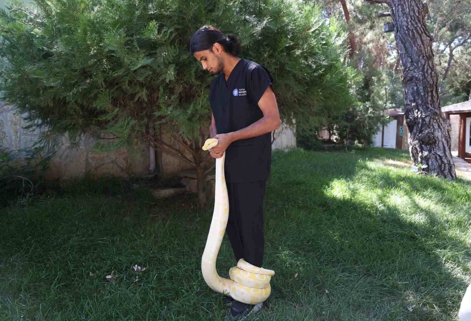 antalya dogal yasam parkinda 5 farkli ture ait 28 yilan ilgi odagi oldu 0 RtUVlZbr