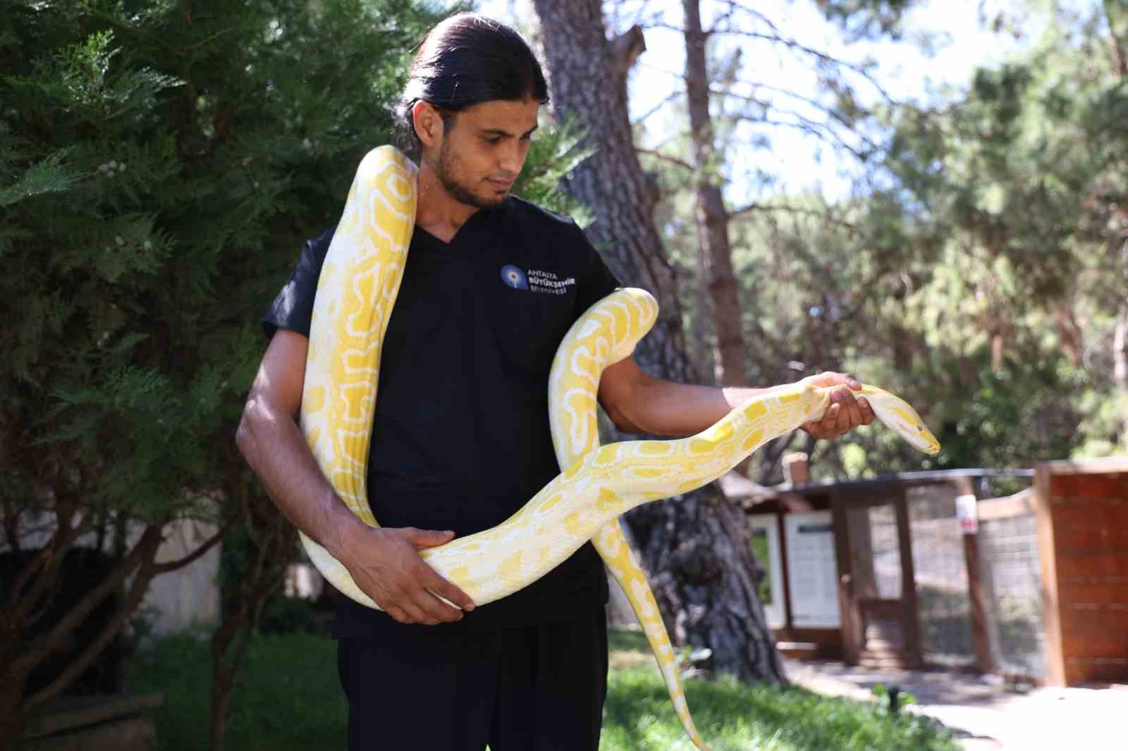 antalya dogal yasam parkinda 5 farkli ture ait 28 yilan ilgi odagi oldu 1 lAVgwyUD