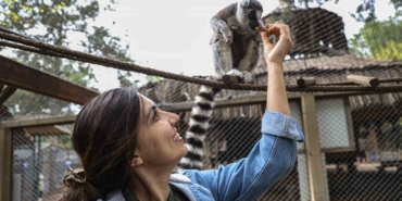 antalya-dogal-yasam-parkinda-yavru-lemur-sevinci-FaYnPVXP.jpg