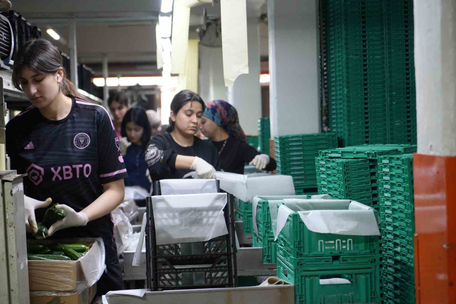 antalya halinde bayram denetimi faturalar ve kunyeler tek tek incelendi 1 qX9GXwN9