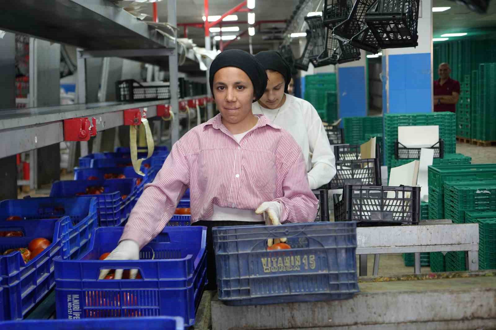 antalya halinde bayram denetimi faturalar ve kunyeler tek tek incelendi 7 RMEb5QQw